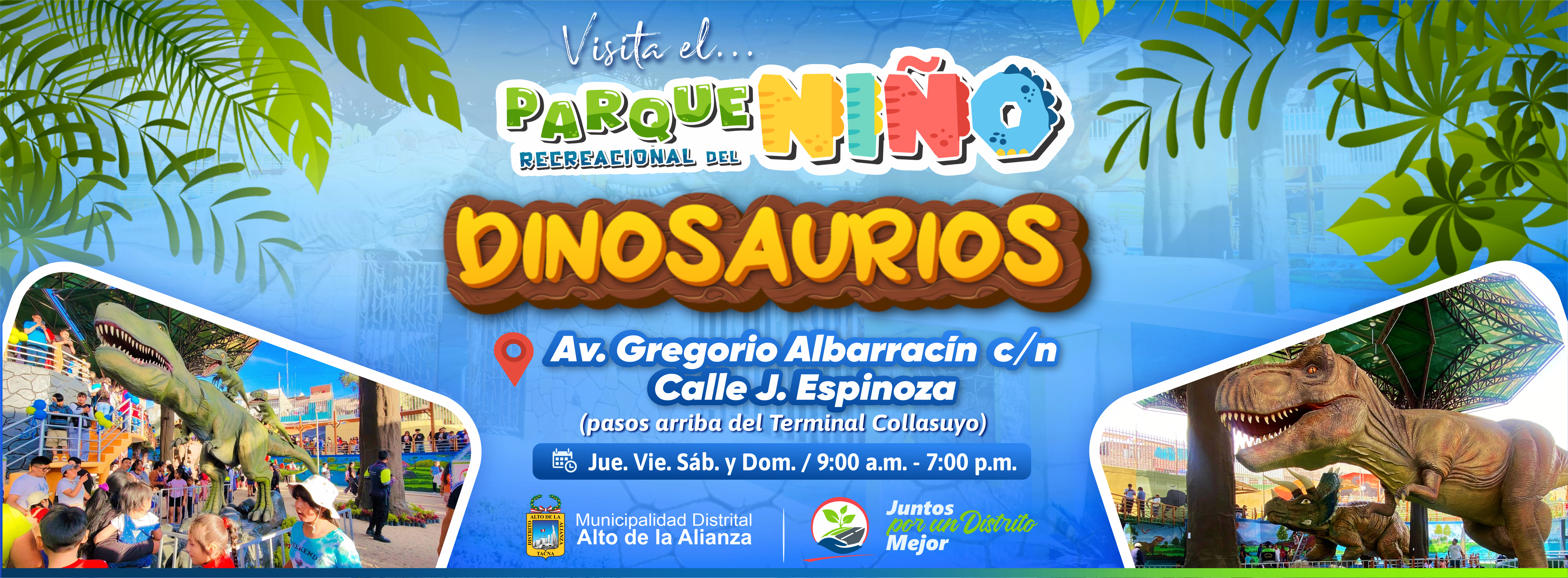 Foto principal alto de alianza