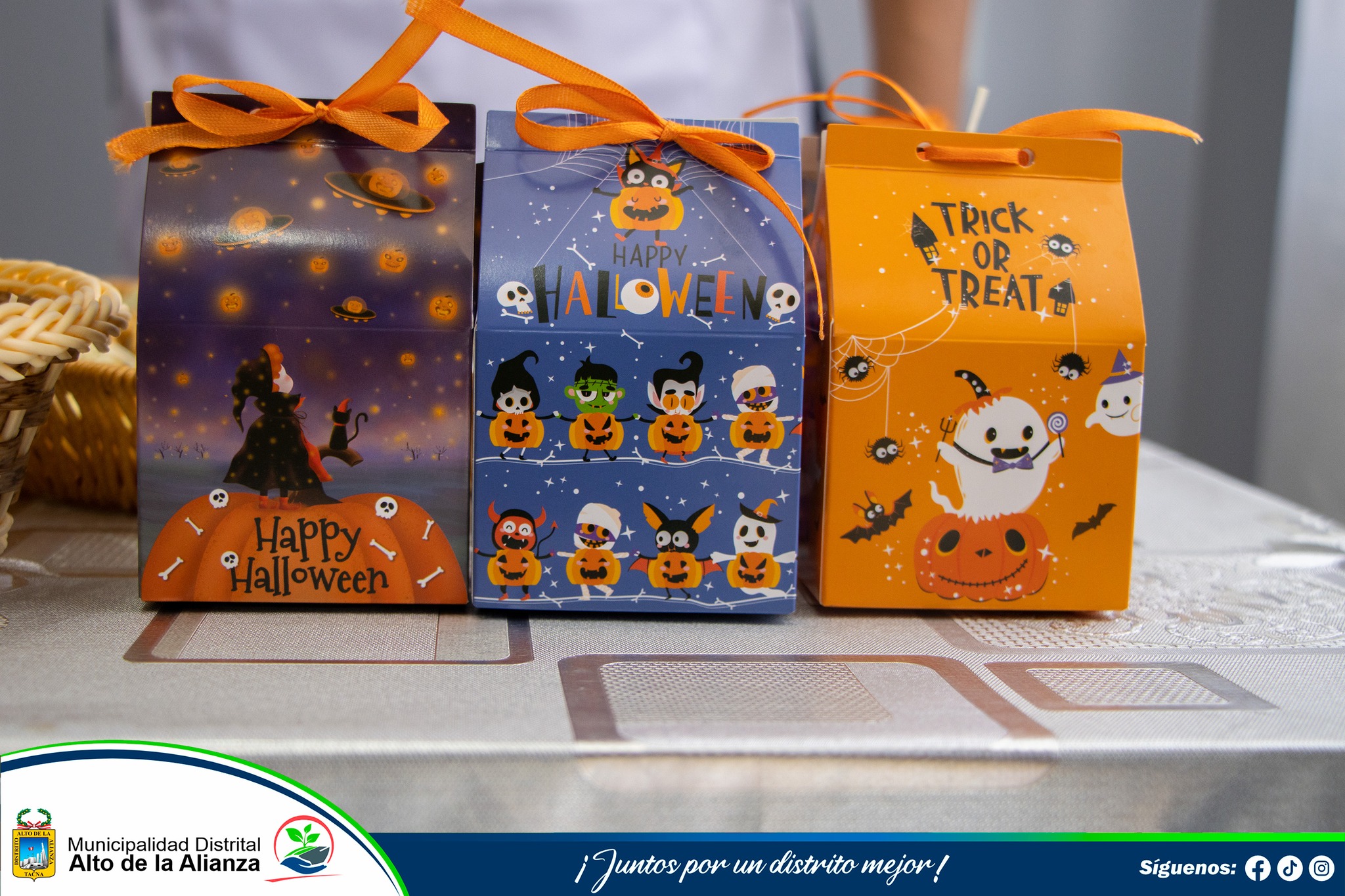 Fotos Alto de Alianza